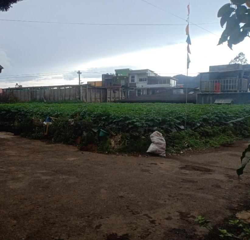 Anemon Dieng Exterior foto